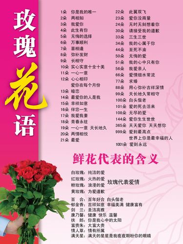 15朵鲜花寓意（15朵鲜花代表什么）-第1张图片-花花知道网