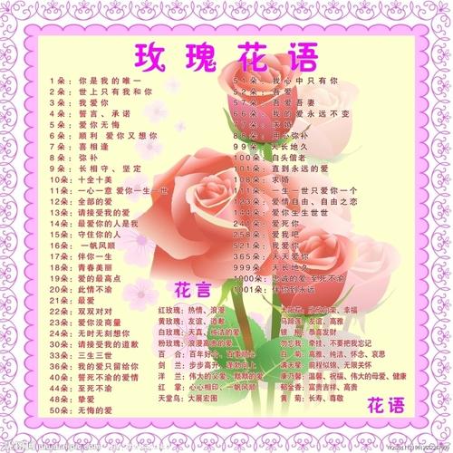 9朵玫瑰鲜花混搭花语及寓意（9朵玫瑰花花束图片）-第3张图片-花花知道网