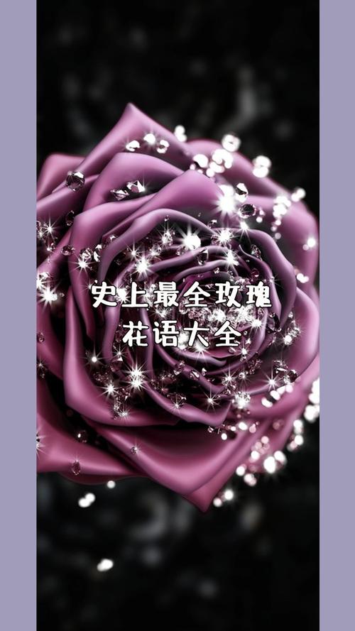 19支鲜花寓意（花语19朵代表什么）-第1张图片-花花知道网