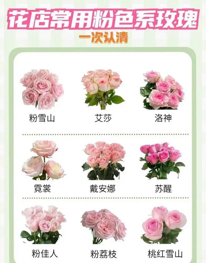 52朵鲜花寓意（52朵鲜花代表什么意思）-第3张图片-花花知道网