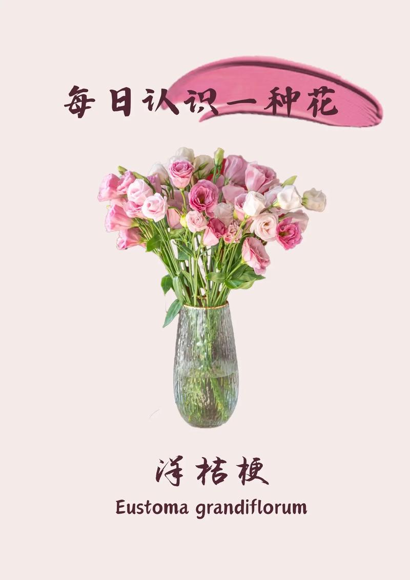 11朵洋桔梗鲜花寓意什么（19朵洋桔梗是什么意思）-第3张图片-花花知道网