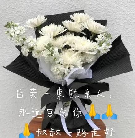 11朵白菊花鲜花花束寓意（十朵白菊花的寓意）-第3张图片-花花知道网