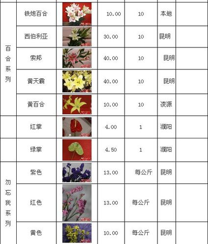 38节日鲜花花束寓意（38节送什么花）-第2张图片-花花知道网