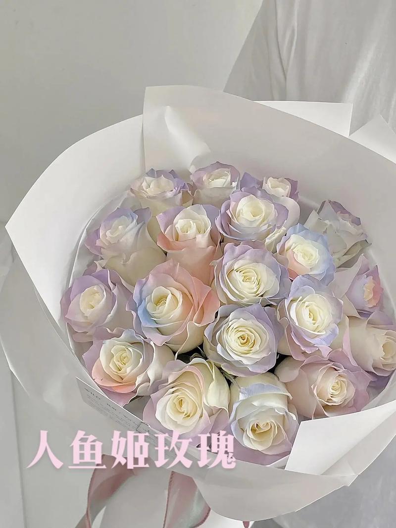 11朵人鱼姬鲜花花语及寓意（人鱼姬造型）-第2张图片-花花知道网